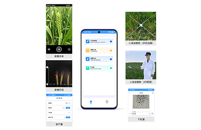 怀化市小麦亩穗数分析仪IN-XM02
