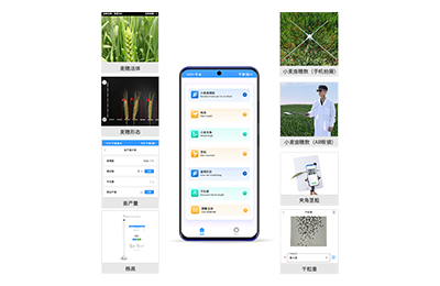 怀化市小麦表型测量仪IN-XM05